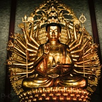 One bodhisattva, a thousand hands and infinite prayers